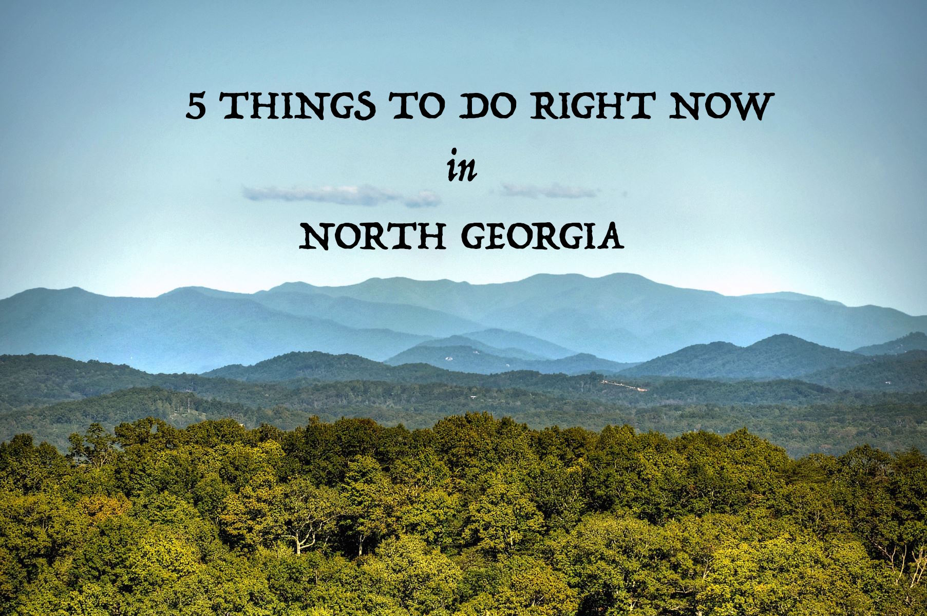 THINGS TO DO IN NORTH GEORGIA