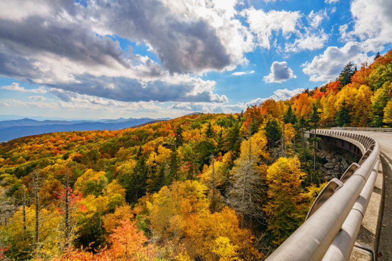 Fall in Blue Ridge Scenic Highway view